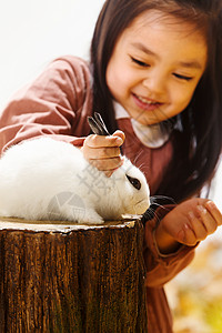靓丽萝莉小女孩和小兔子背景