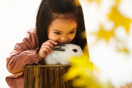 快乐的小鸟小女孩和小兔子背景