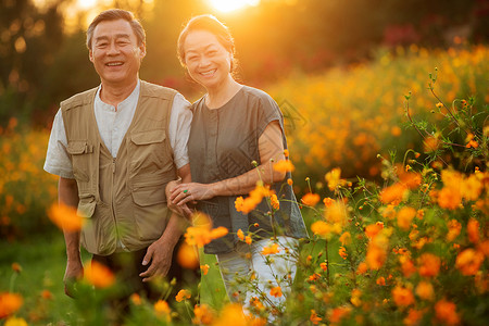 花臂素材大全花丛中幸福的老年夫妇背景