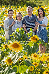 花海里的幸福家庭高清图片