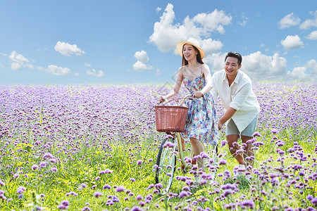 骑车旅游男人在花海里骑自行车的青年夫妇背景