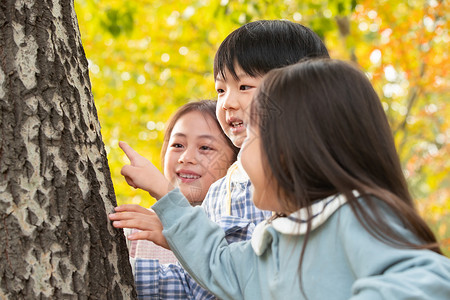 自由讨论小伙伴们观察大树背景