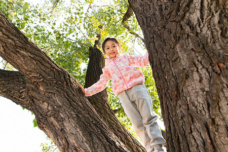 站在树上的快乐女孩高清图片