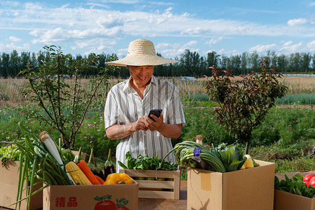 农民在线直播销售农产品网上支付高清图片素材