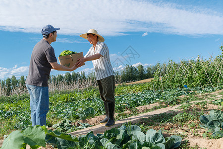 农民将蔬菜交给快递员图片