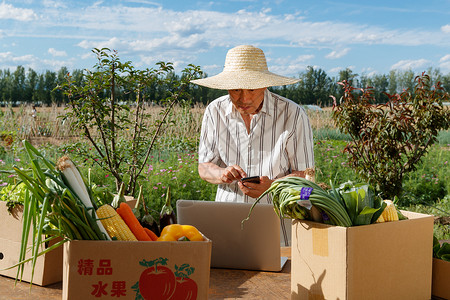 农民在线直播销售农产品60多岁高清图片素材