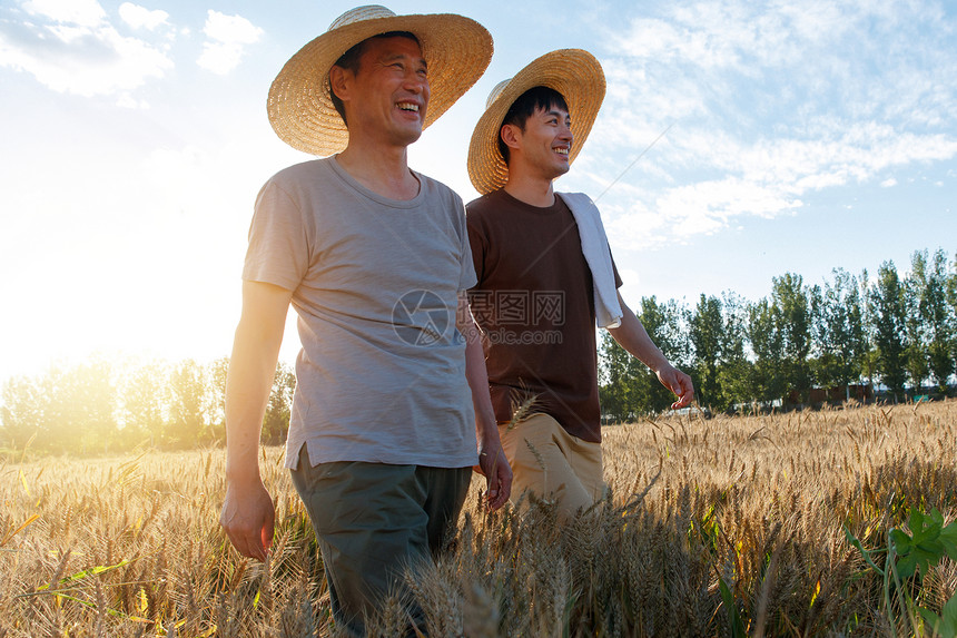 科研人员和农民在麦田里交流技术图片