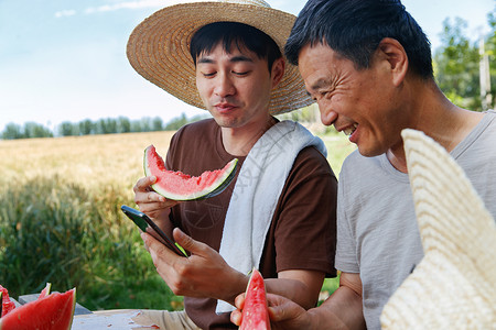 农民在田地旁休息吃西瓜高清图片