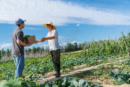 农民将蔬菜交给快递员高清图片