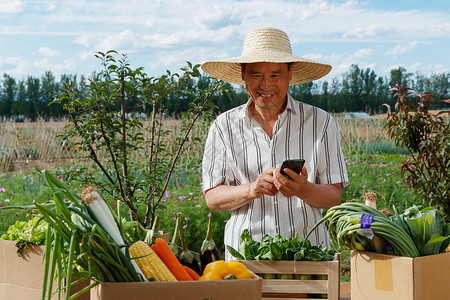 农民在线直播销售农产品沟通高清图片素材