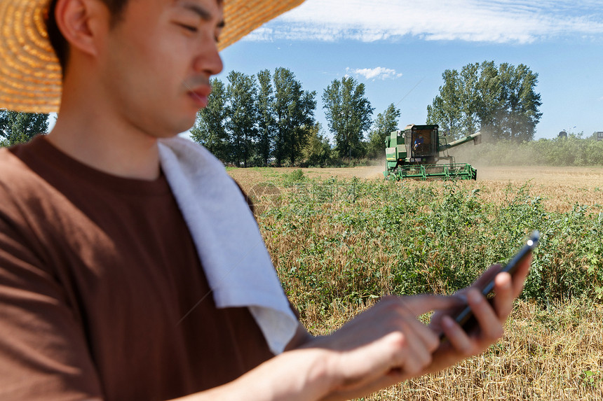农民站在麦田里使用手机图片