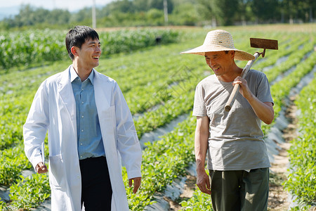 科研人员和农民在菜地里交流技术高清图片