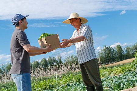 农民将蔬菜交给快递员高清图片