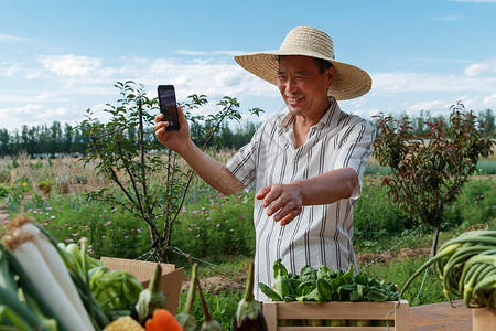 农民在线直播销售农产品社交平台高清图片素材