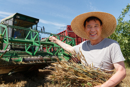 抱着麦穗农民农民洋溢着大丰收的喜悦背景