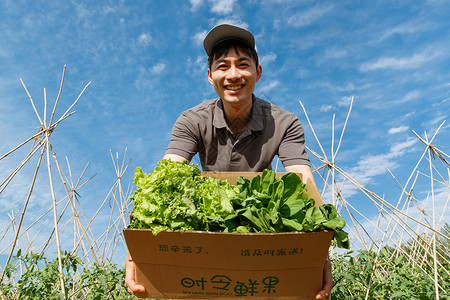 绿色物流菜地里抱着新鲜蔬菜的快递员背景