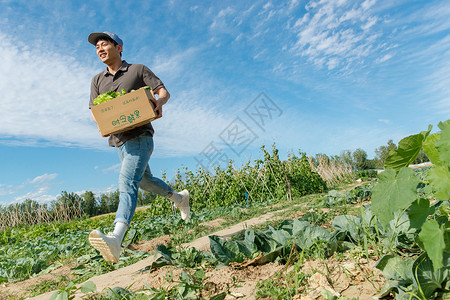 抱着箱子的快递员穿梭在田地间的快递员背景