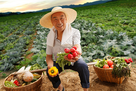 坐在田头的农民休闲装高清图片素材