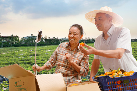 农民在线直播销售农产品水果高清图片素材