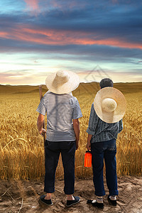 农民夫妇在播种农民夫妇在麦田里劳动背景