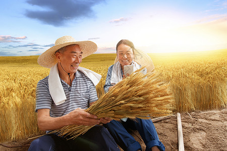 语音直播农民夫妇坐在麦田里用手机视频背景