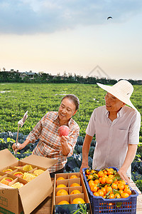 农民在线直播销售农产品庄稼高清图片素材