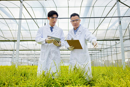 养殖科技农业科研人员植物养殖研究背景