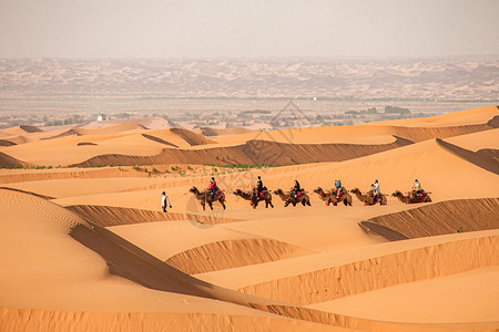 宁夏沙坡头沙漠中驼队图片