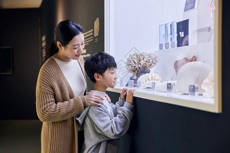 年轻母亲带着儿子参观博物馆的珊瑚标本高清图片