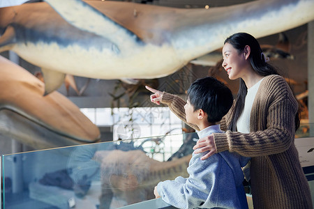 男孩与鲸鱼小男孩和妈妈一起参观博物馆背景