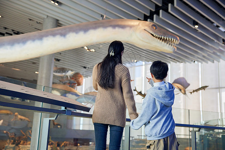 科学科普母亲带着孩子在自然博物馆参观背影背景