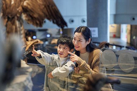 變化母亲带着孩子在自然博物馆参观背景