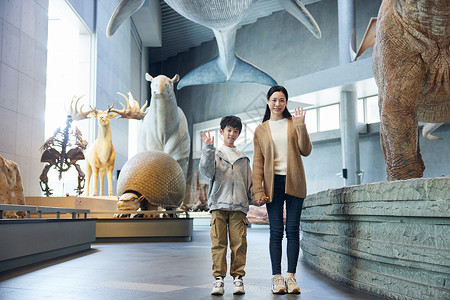 母子在自然博物馆参观形象背景图片