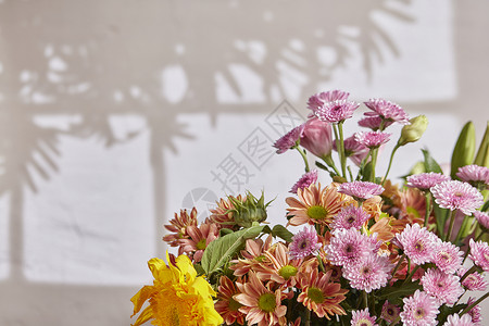 康乃馨植物花束阳光下的花束背景