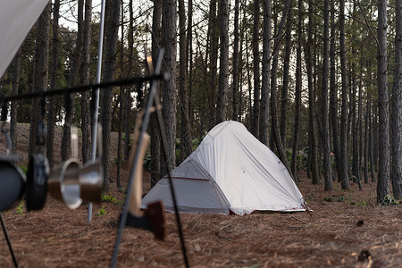 户外露营营地森林露营背景图片