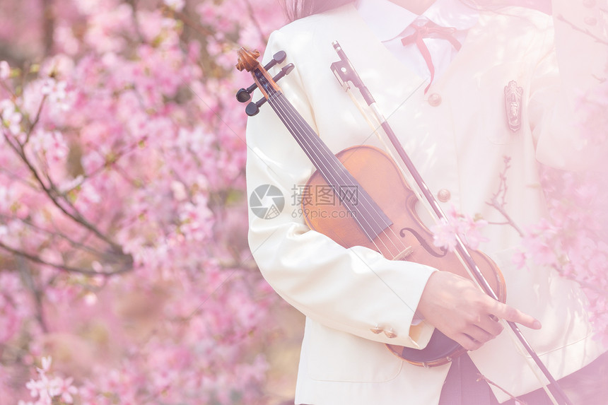 樱花从这拿着小提琴的女生图片
