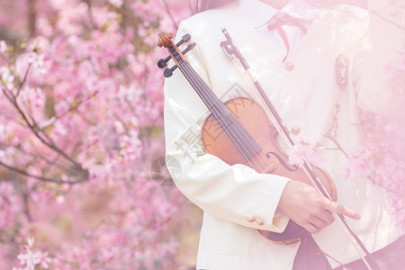 樱花从这拿着小提琴的女生背景图片