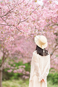 春天樱花树下女生背影背景图片