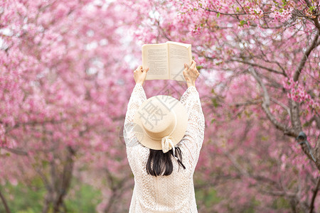 看书的背影春天樱花树下看书的的女生背影背景