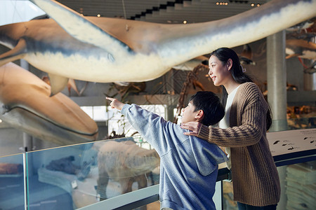 男孩与鲸鱼母亲和儿子参观博物馆背景
