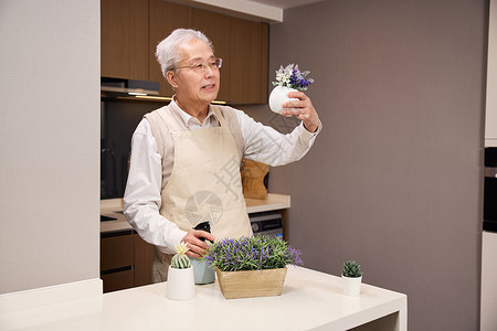 居家休闲老年人养护植物图片