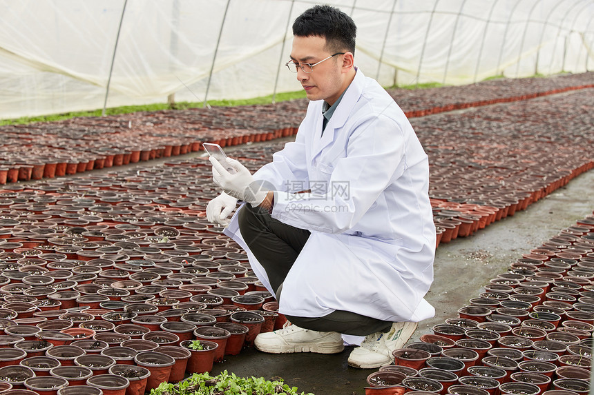 科研人员检查植物幼苗图片