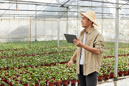 养殖基地内查看植物幼苗的花农背景