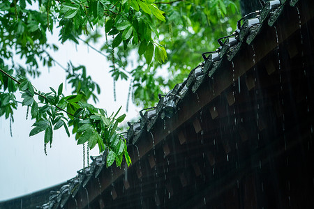 雨一直下春雨下的古建筑背景