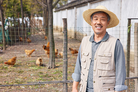 养鸡场微笑的农民饲养高清图片素材