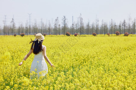 春季出游海报油菜花田里奔跑的女性背影背景