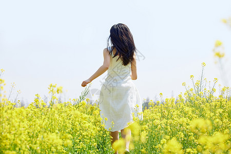 春季踏青出游油菜花田里奔跑的女性背影背景