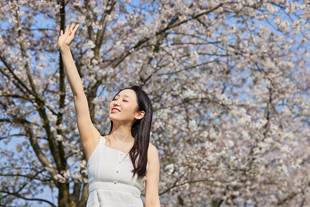 日绽放年轻女性春季赏樱花背景