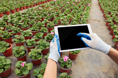 科技是第一生产力花农平板操作虚拟屏幕特写背景