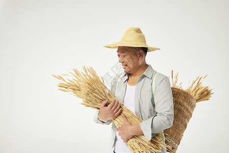 展示稻田丰收淳朴农民抱着稻谷形象背景